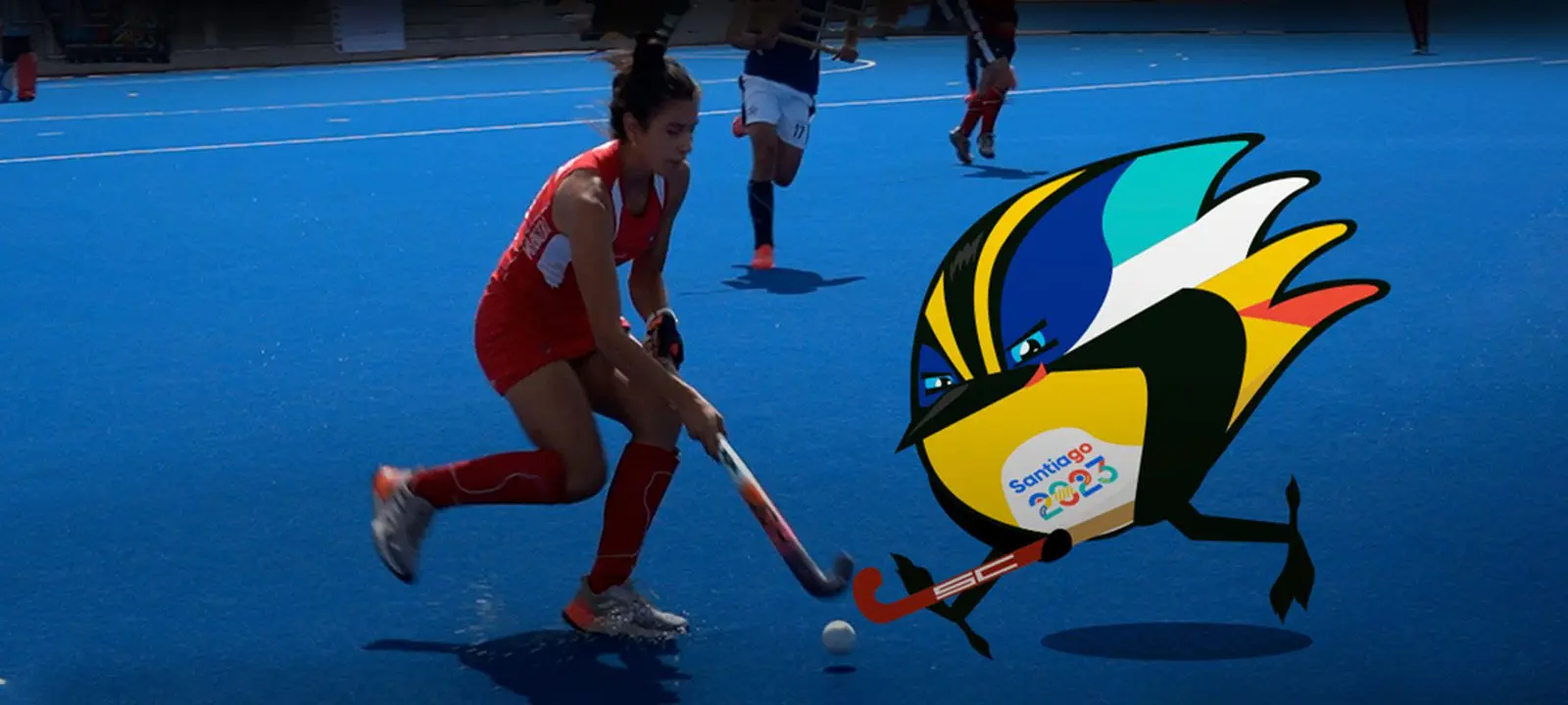 Canchas Hockey